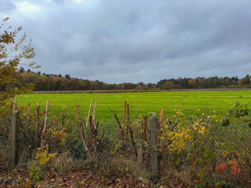 Unverbaubare Feldrandlage mit Traumblick
