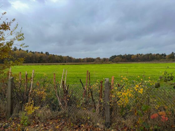 Unverbaubare Feldrandlage mit Traumblick Unverbaubare Feldrandlage mit Traumblick